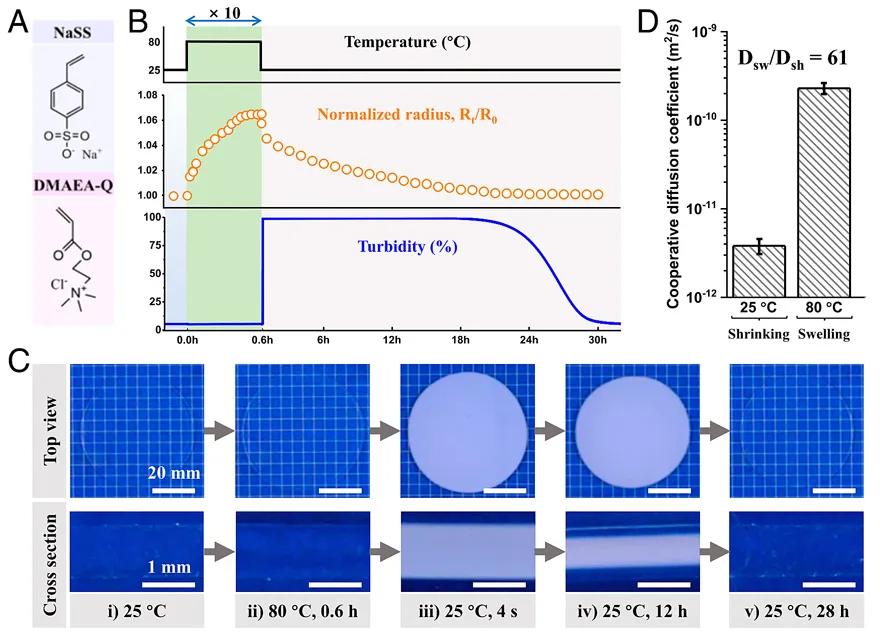 粪便移植治疗抑郁,脑科学日报关于记忆