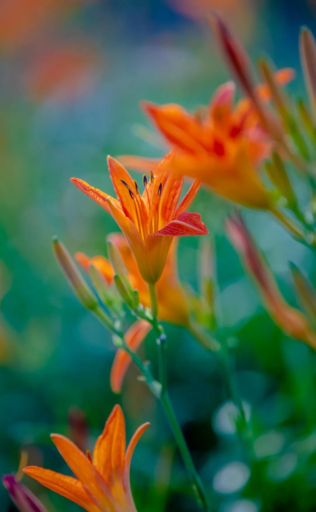 在济南花式避暑,一见“清”心!只需一瞥,便足以把酷夏原谅…