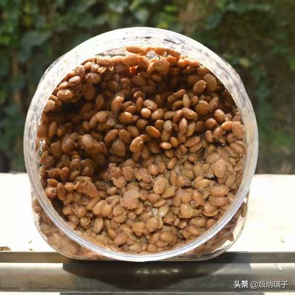 自制豆豉辣椒酱的家常做法,自制豆豉要蒸多久