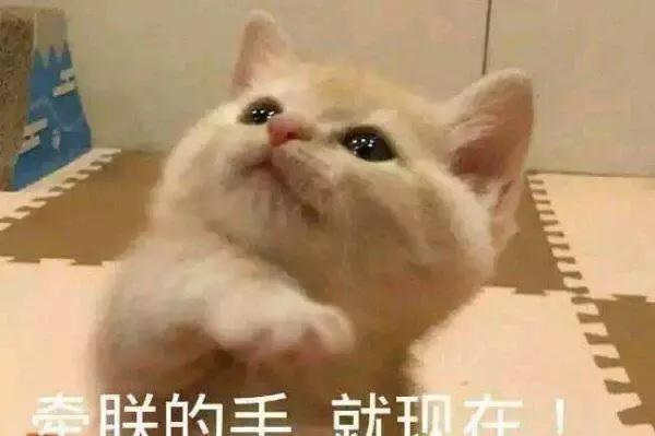 雪花秀润燥和后的水妍,雪花秀润燥精华能当精华用吗