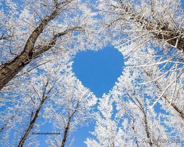 人教部编版语文七年级上册生字词,七年级上册语文第一单元基础字词