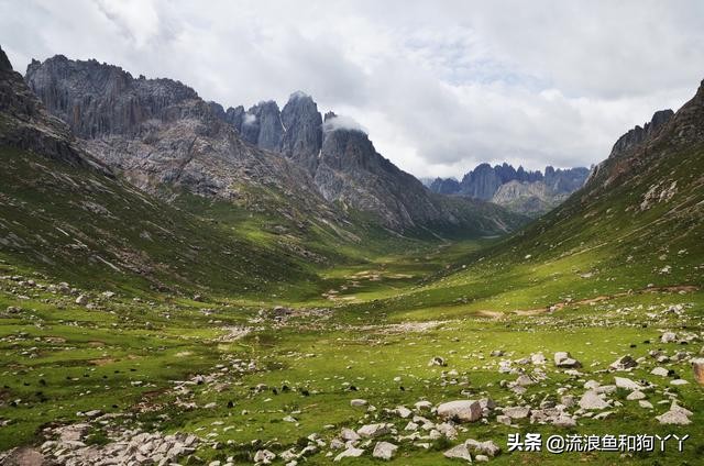 年保玉则现在开放了吗,年保玉则为啥被封