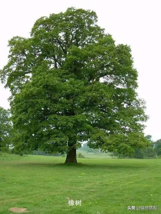 家具购买指南如何选择理想的家具,如何挑选一个便宜又实惠的家具