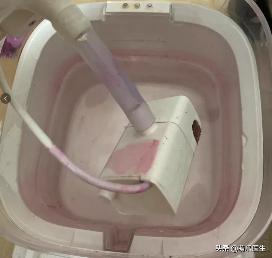 用了五年的饮水机,用了饮水机猫咪喝水量增多