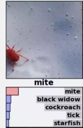 深度学习图灵架构和帕斯卡,图灵奖得主本科