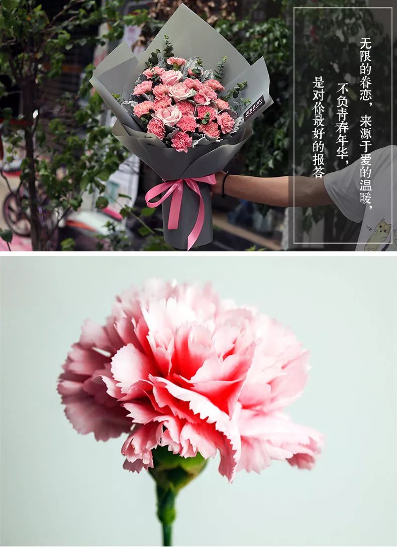 9月10日教师节送什么花呢,教师节感谢老师送什么花好