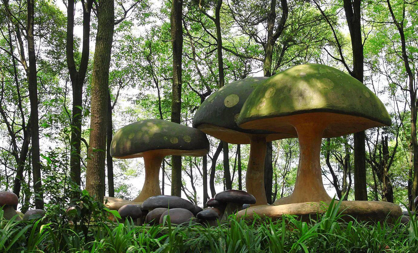 藿香正气水真的可以防止中暑吗,藿香正气水为什么能防中暑