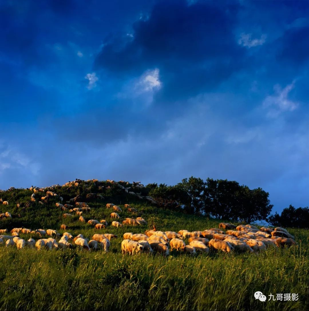 大美坝上草原全景,大美坝上风光系列之一