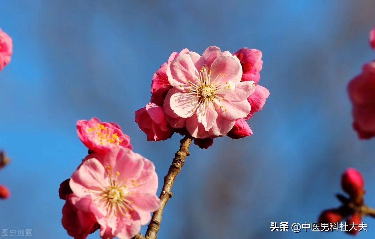 腿酸疼软无力容易疲劳是哪种肾虚,腰膝酸软腿无力是肾虚的表现吗