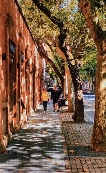 被误解的上海式精致,被误解的外国人