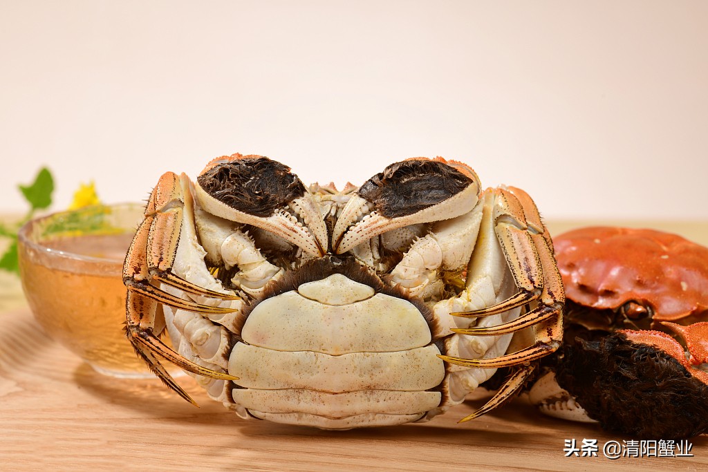 是公蟹的蟹膏多还是母蟹的蟹膏多,蟹膏是公蟹还是母蟹科普