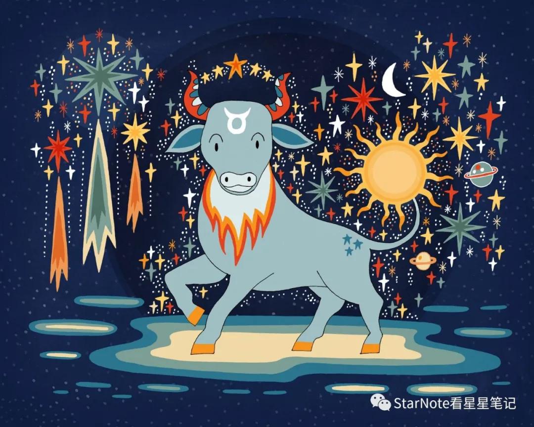 金牛座水瓶座配对星座,上升星座金牛座的男生配对