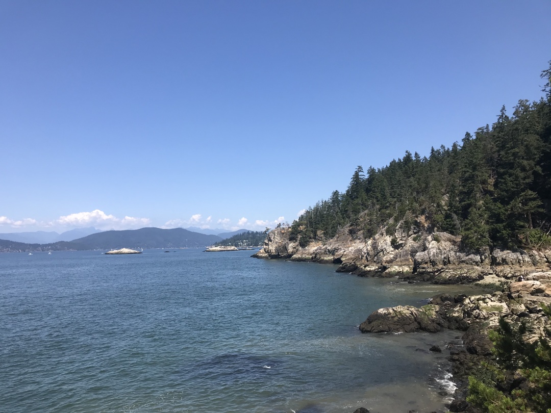 COACH皮质包,coach真皮男士包包