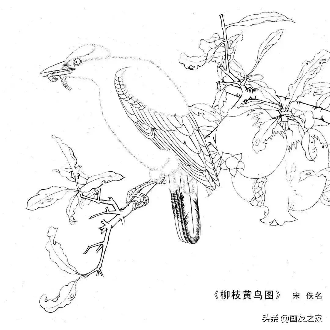 宋花鸟工笔画高清大图临摹过程,宋画工笔画花卉上色教程