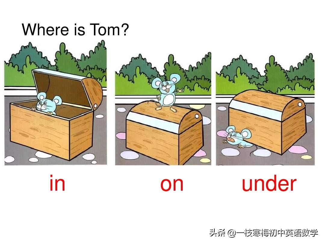 七年级上册英语第九单元section2b,七年级上册英语第八单元sectionb