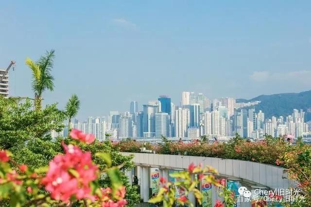 清风拂面的独家记忆——玩味香港(一)