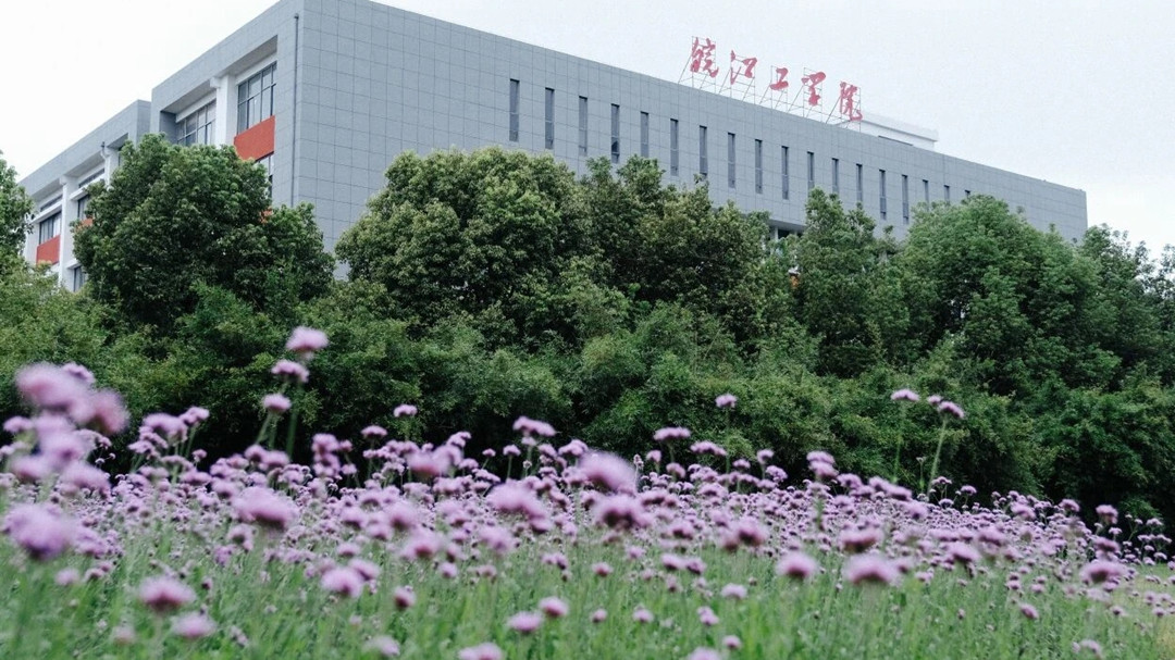 安徽省十大最具潜力高校,安徽省民办高校