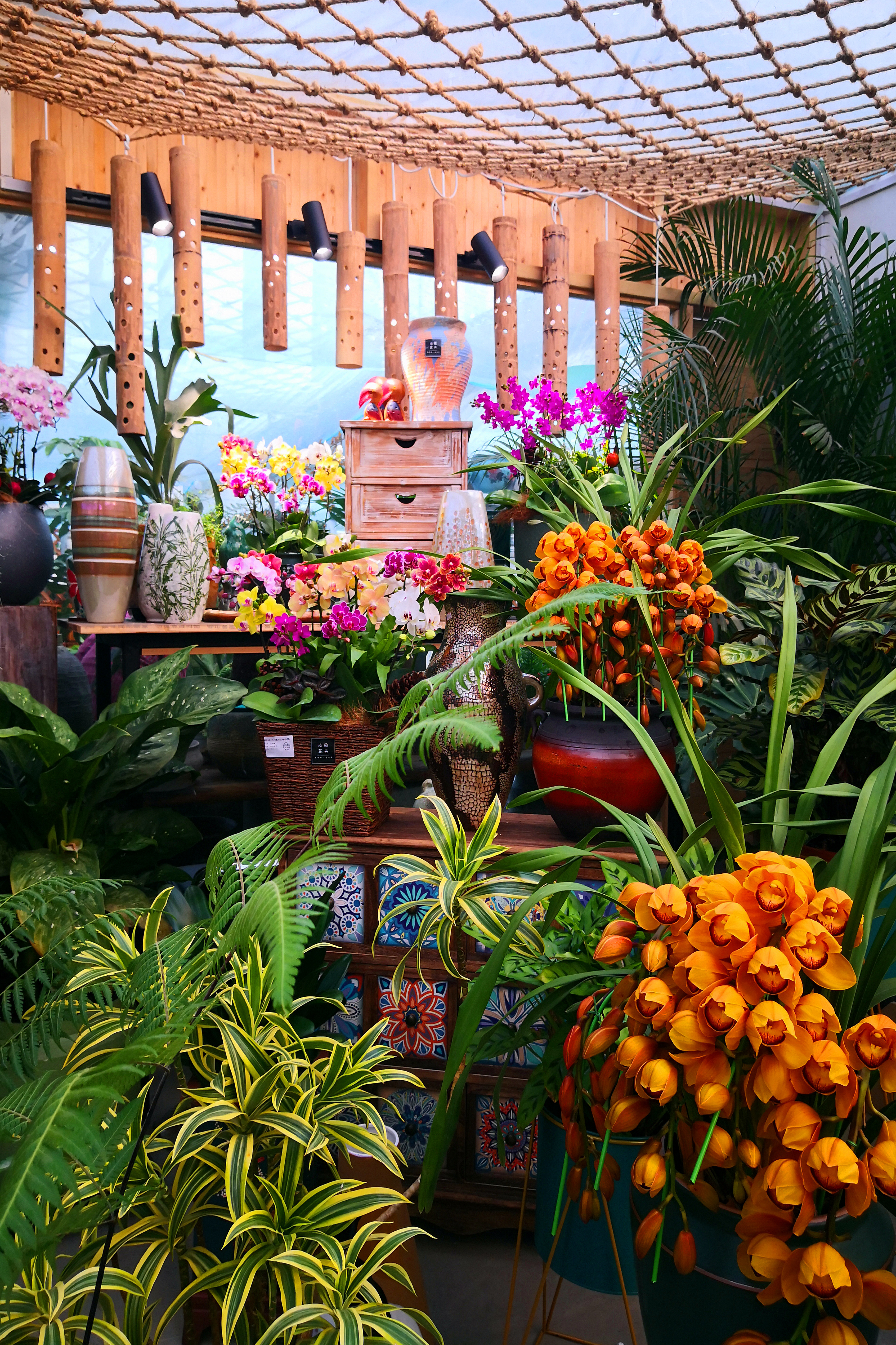 东营最大的花卉批发市场在哪里,东营地区哪里有花卉市场