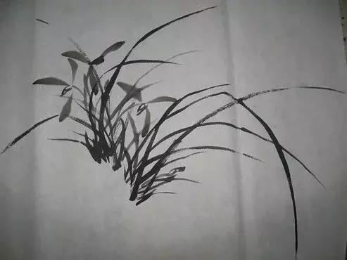 国画入门山石画法兰花,兰花小鸡国画写意画法