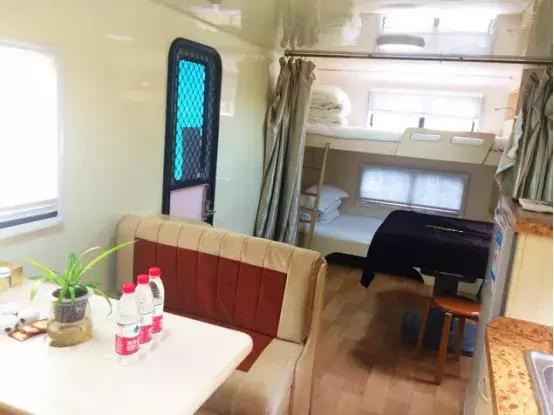 金家湾生态露营公园在哪里,金家湾风景区露营