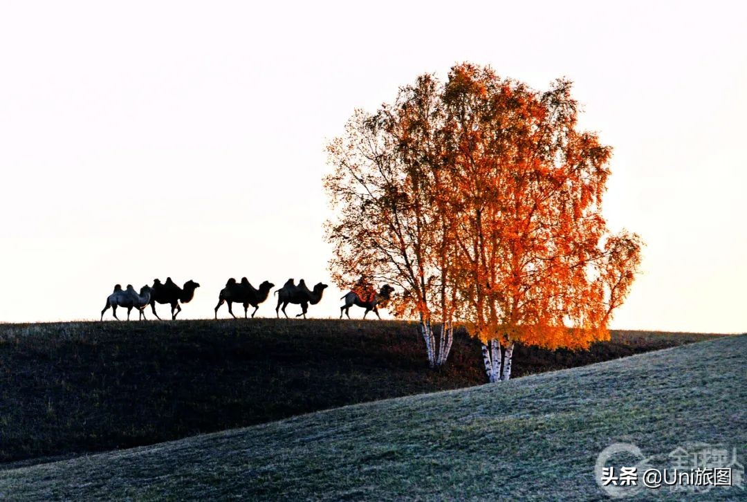 美图欣赏黄河全貌,航拍九曲黄河最美视频