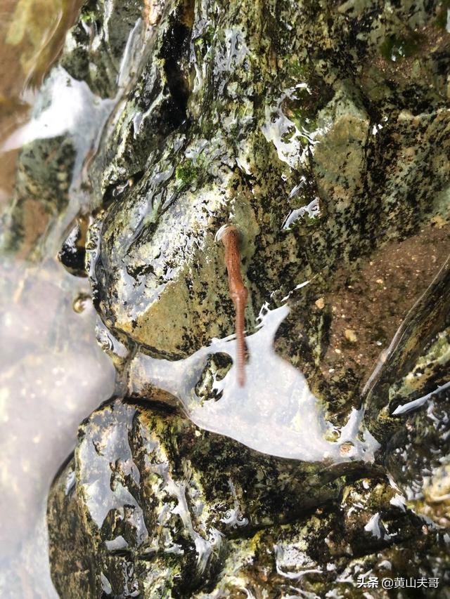 黄山最吓人景区,黄山爬山最吓人的地方