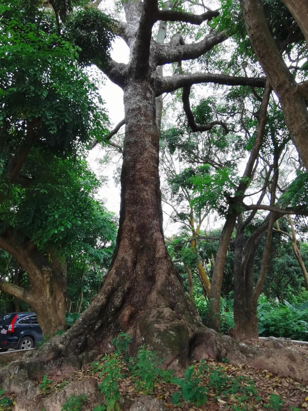 检察蓝用心守护海洋蓝,检察蓝守护最美夕阳红