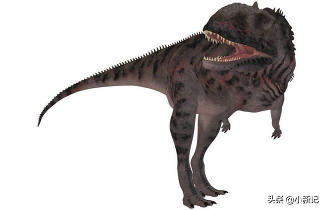 什么恐龙是恐龙世界最厉害的恐龙,恐龙世界最强大的恐龙是什么恐龙