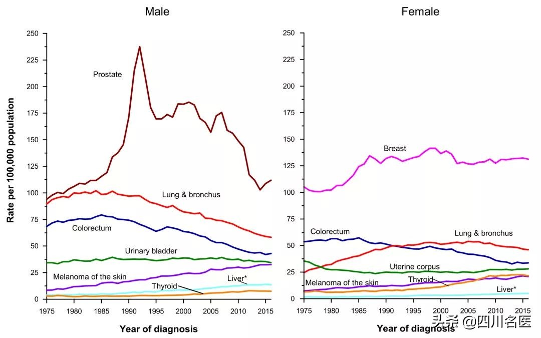 1991骞翠互鏉ョ編鍥界檶鐥囨浜＄巼,绁炲垔ca骞村害鐧岀棁缁熻