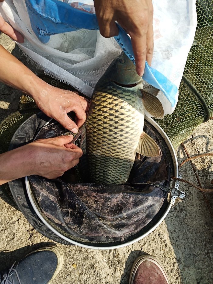 冬季海拉尔一日游攻略最新,海拉尔钓路亚的视频