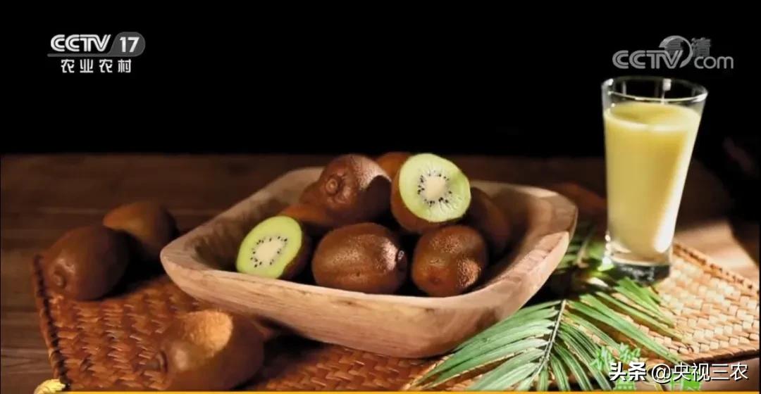 猕猴桃干泡茶维生素多吗,猕猴桃可以用热水泡软