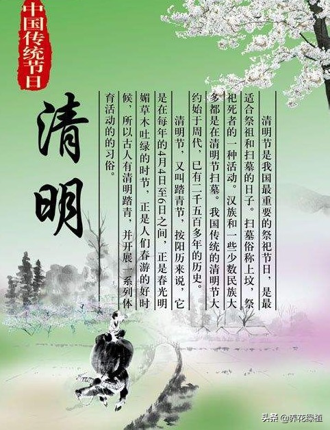 清明节的习俗用一句话说出来,清明节的来历和习俗你了解多少呢