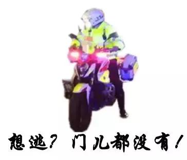 铁骑“快闪”查酒驾，昨晚17只“醉猫”落网！今晚免费“送代驾”！