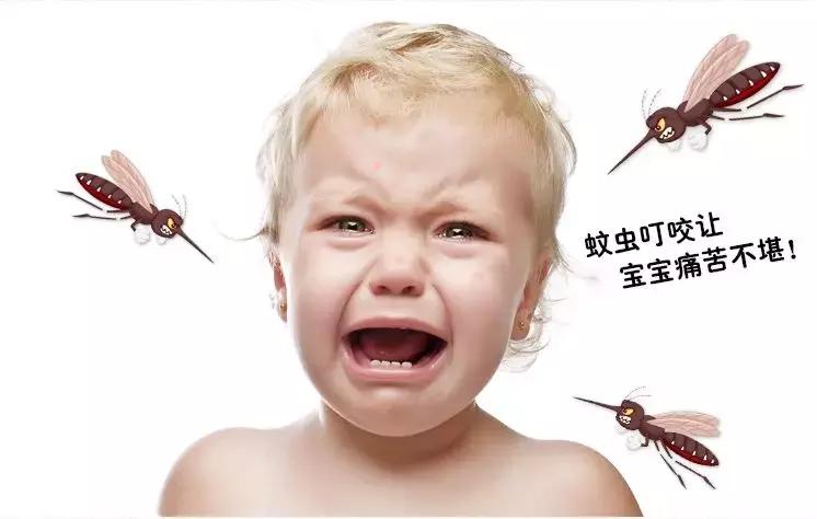 有没有人管管,有没有人管管我