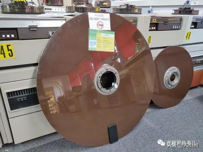 蓝鲸到底有多大,直观感受蓝鲸有多大