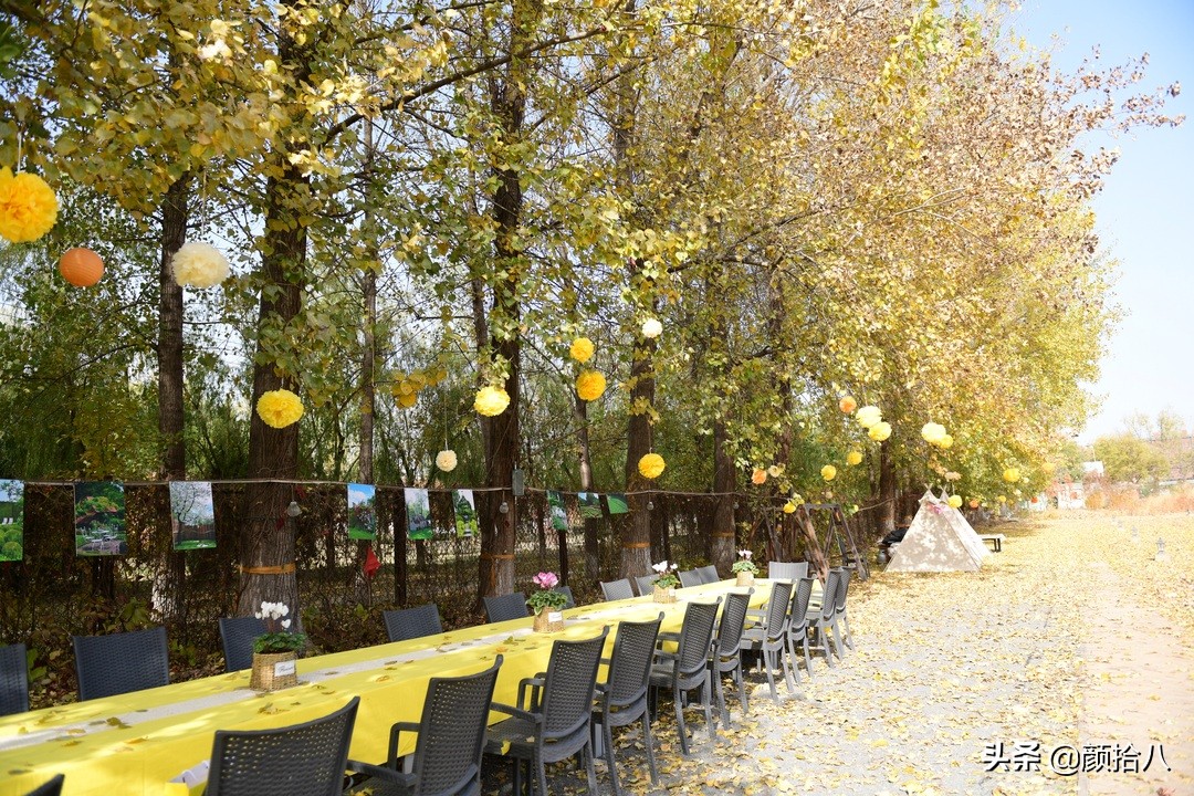 没有比利时花园游,来点比利时啤酒吧|随笔