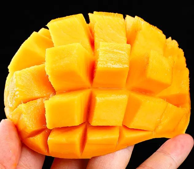 鑺掓灉娌欏啺澶忓ぉ娓呭噳,澶忔棩鑺掓灉娌欏啺