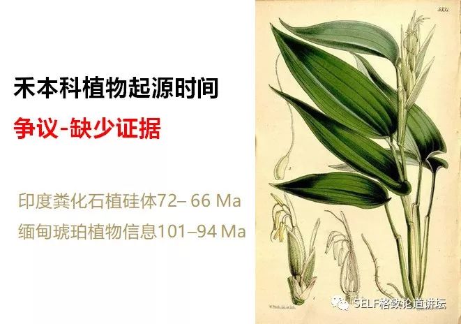 关于恐龙的研究详细,恐龙食谱大全及做法