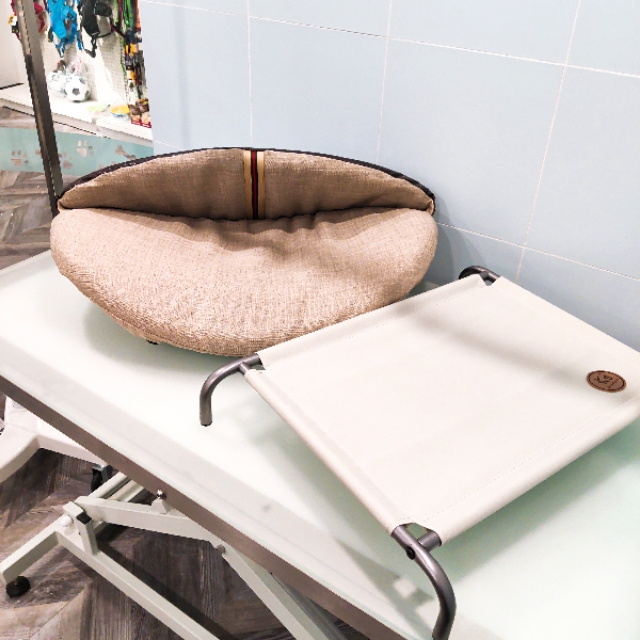 养狗前需要准备些什么！灵茉文章