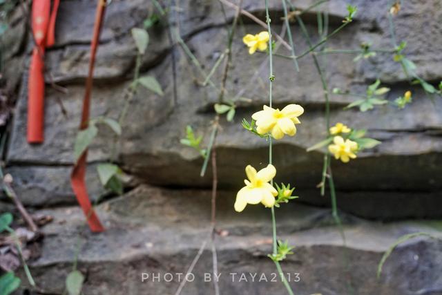 贵州三都：一个少见的民族，一个神奇的崖壁——妞儿嬉游记