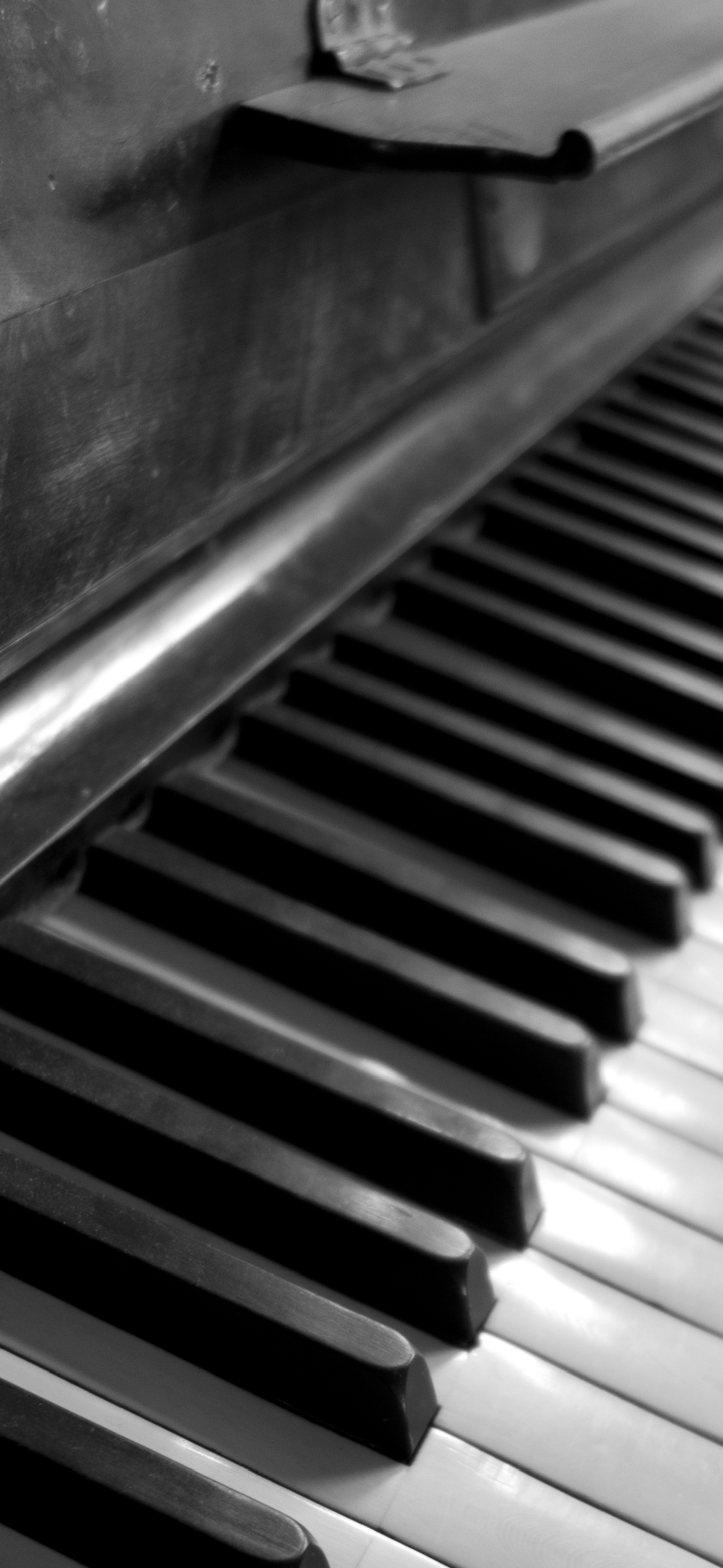 壁纸来了分享图,壁纸来了梵高