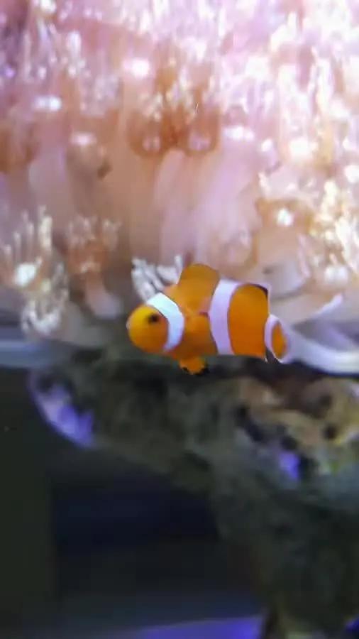 大学生1000元在宿舍开缸,还贴“禁止手碰”的标识,担忧舍友关系