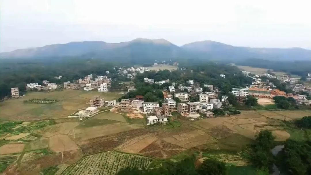 山底禾了社飞来之地的禾了节