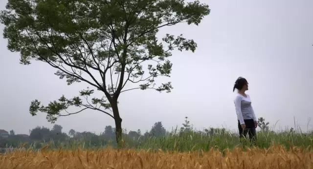 这个自称荡妇的女人，把男女最不能启齿的欲望，写得太爽了