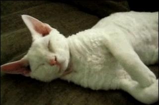 一级警告,你女朋友来大姨妈了