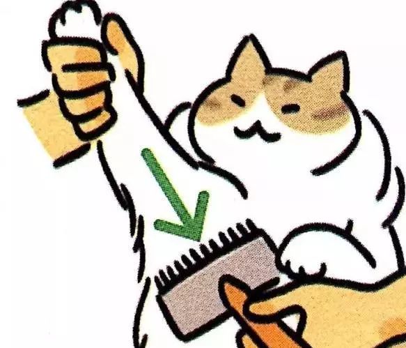 给猫梳毛能防止掉毛吗,给猫梳毛为什么猫会舒服