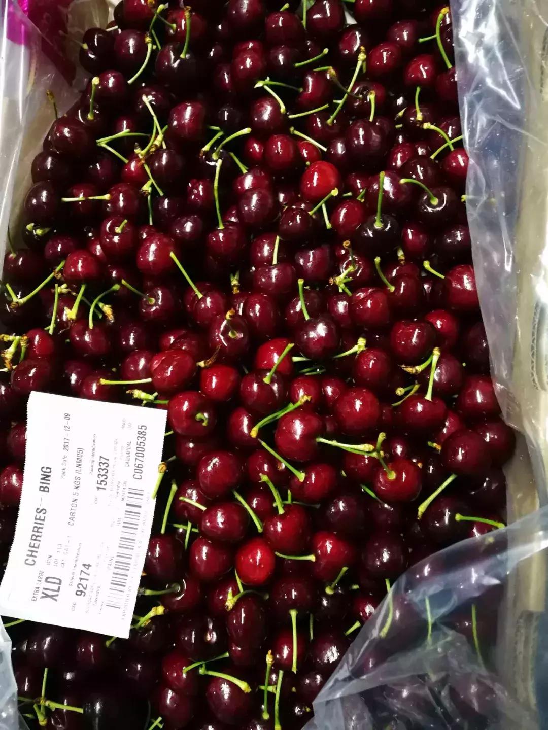 车厘子必备常识,这个季节的车厘子怎么管理