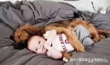 辣妈宝爸,宝妈宝爸连连看找小萌宝