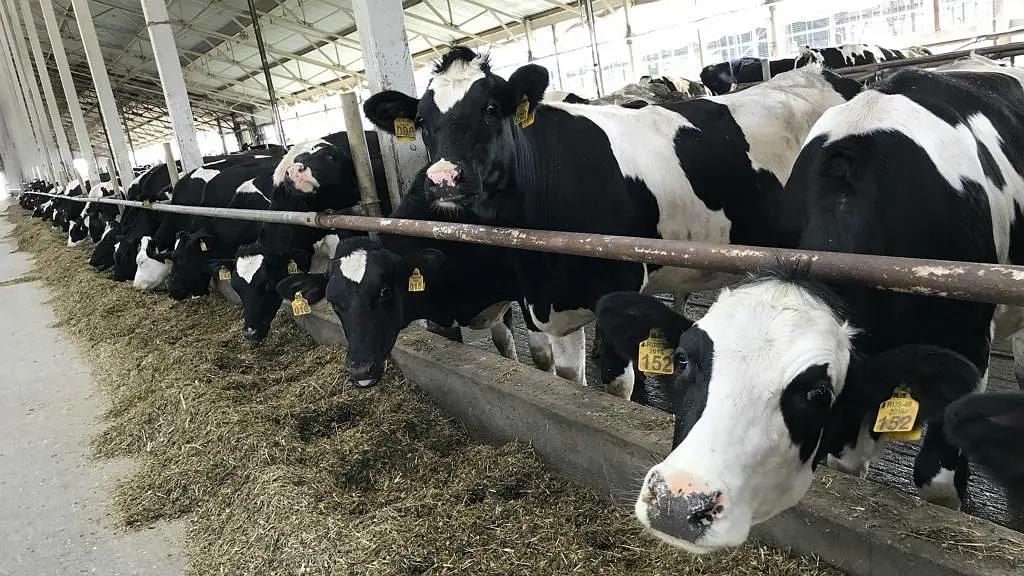 英国爱他美白金版双重HMOS，为宝宝的健康保驾护航