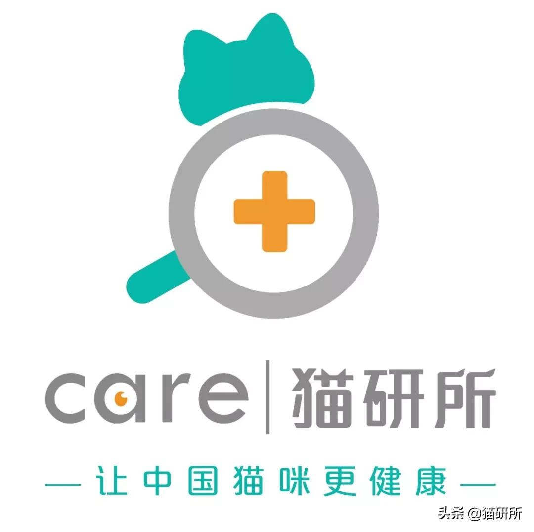 猫咪绝育正切痛还是侧切痛,猫咪绝育是切蛋还是切鸡